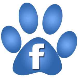 Lifesavers animal rescue on Facebook